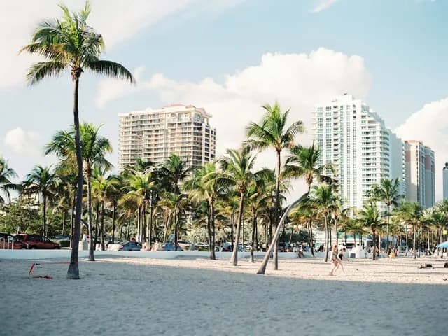Palm trees and towers on the Miami coast